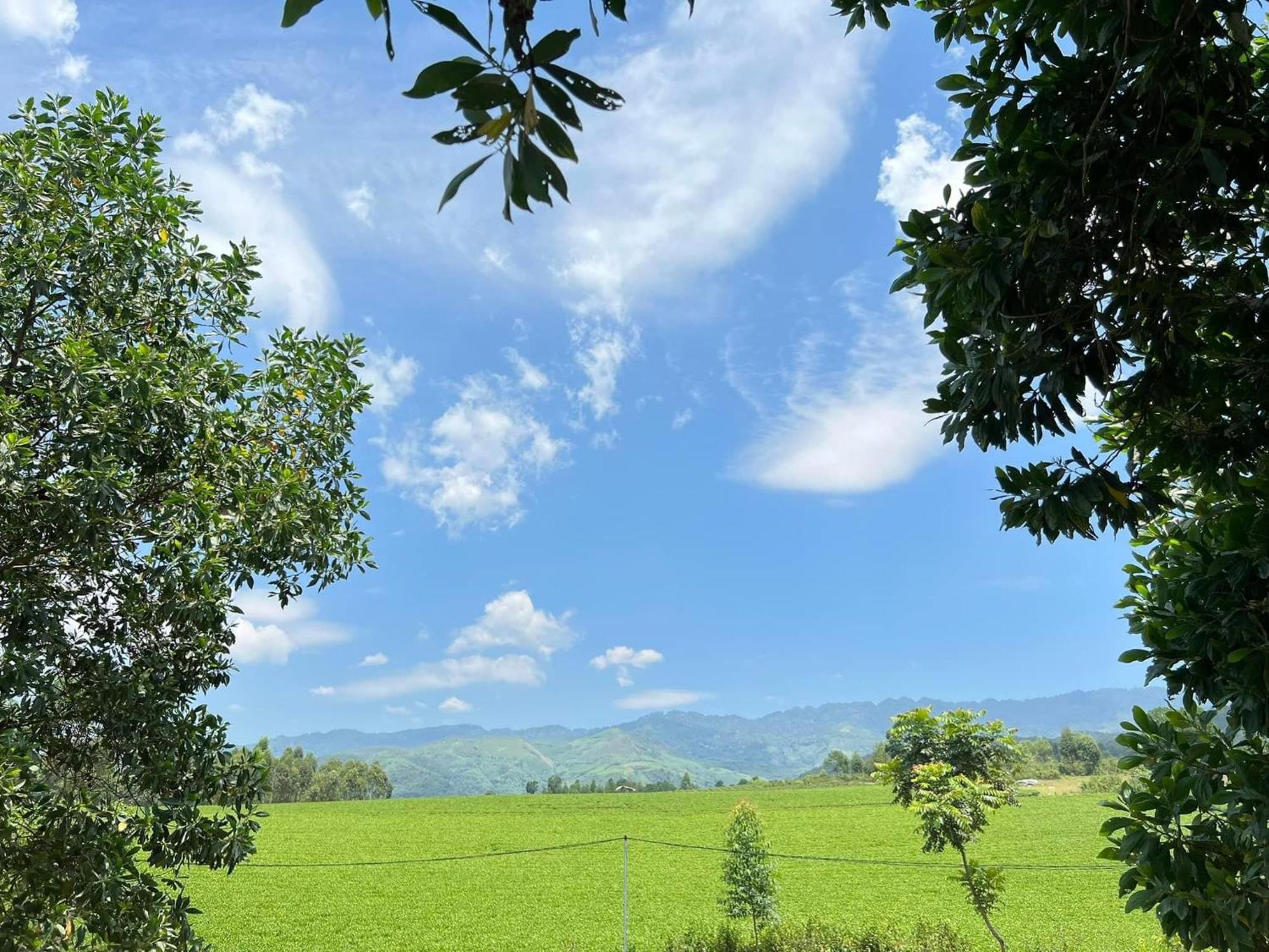 Happy Homestay Nghia Lo Exterior foto